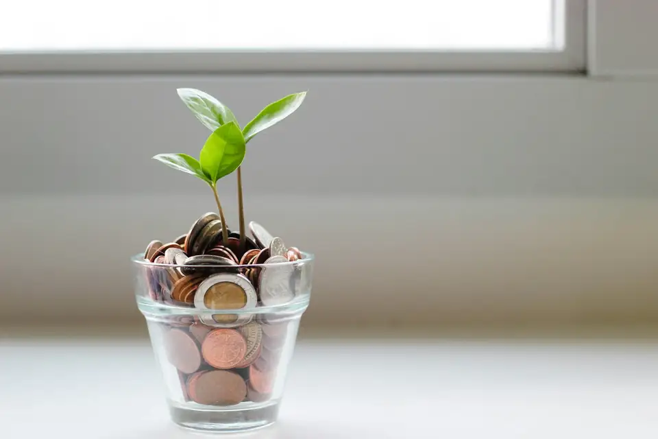 Muda de planta crescendo em um pote de moedas
